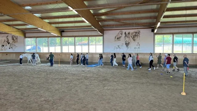 Führungskräfte-Coaching mit Pferden