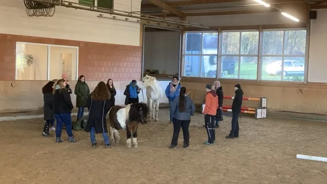 Teambuilding mit Pferden